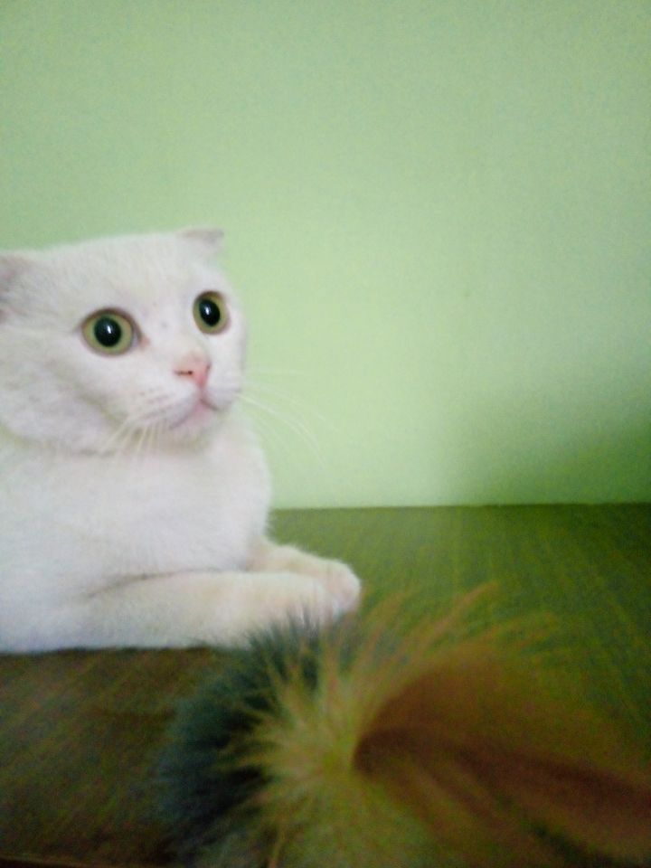 500 000 сум