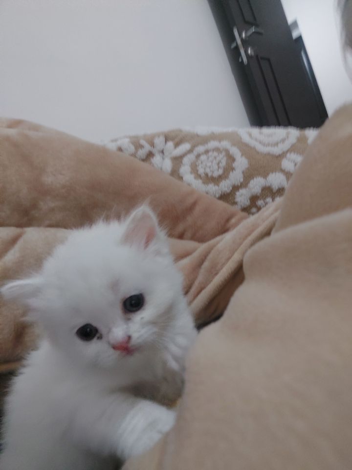 120 USD