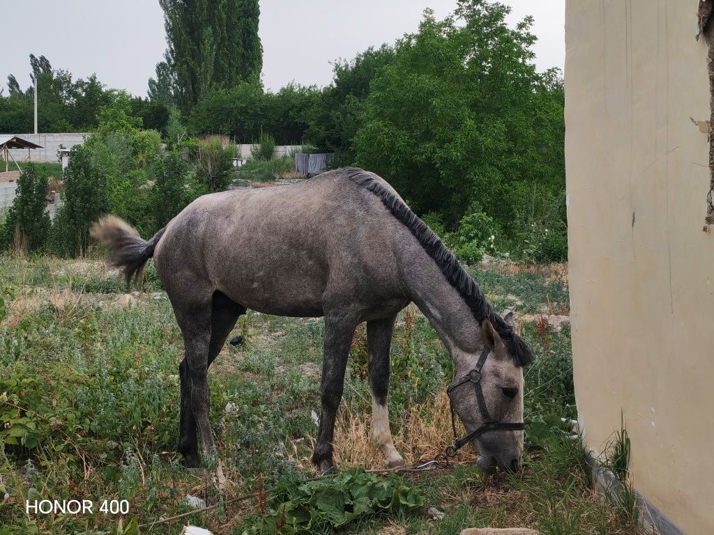 5 500 USD