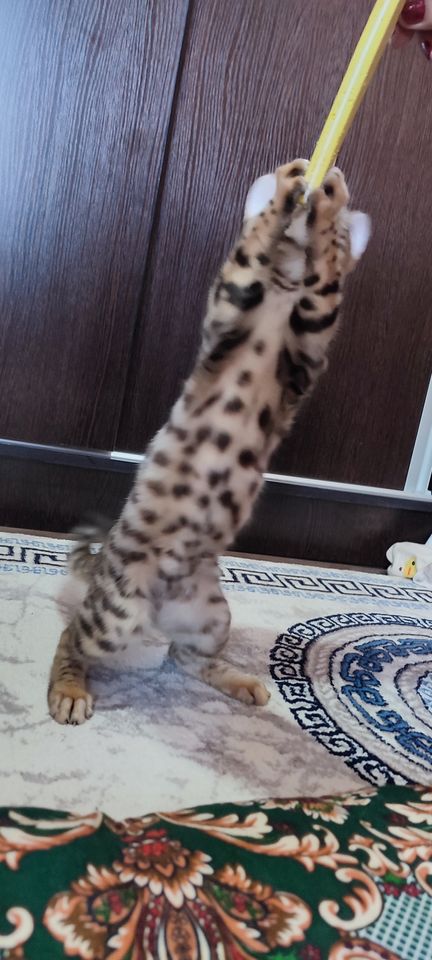 300 USD