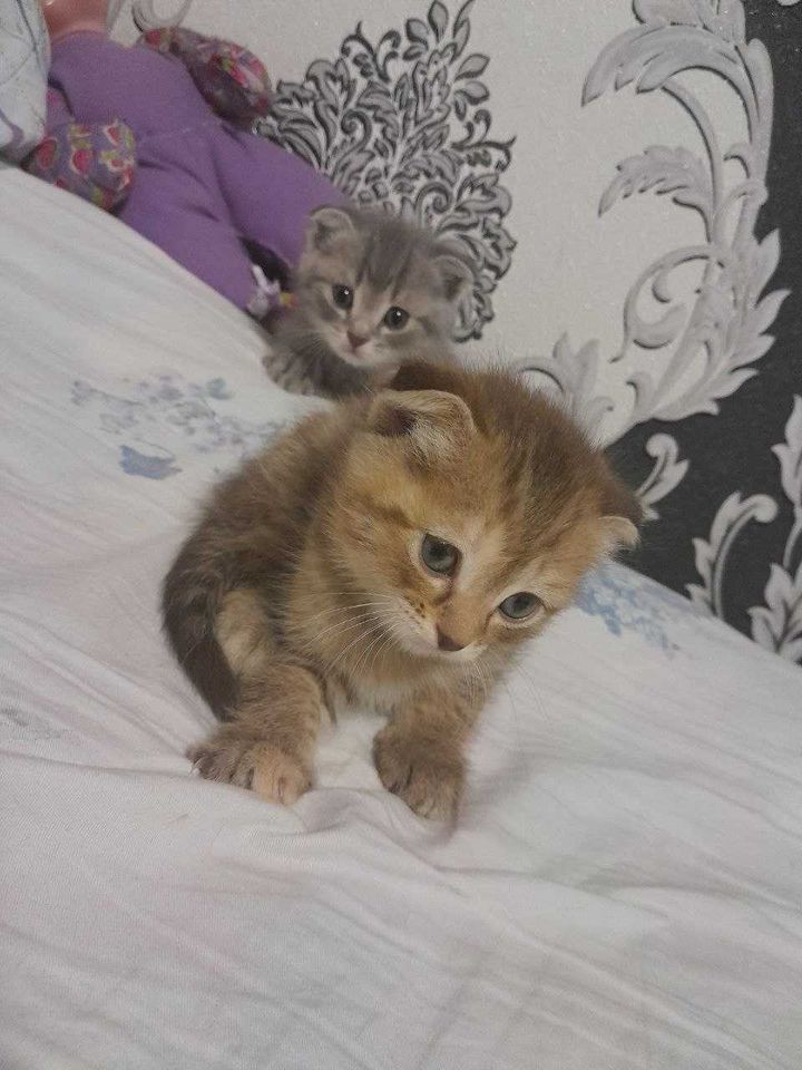 1 500 000 сум