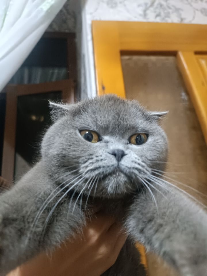 800 000 сум
