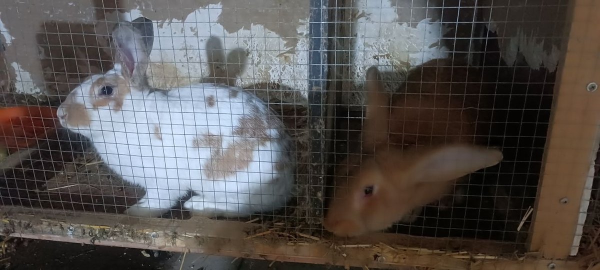 80 000 сум