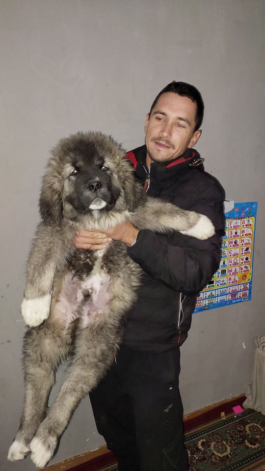 500 USD