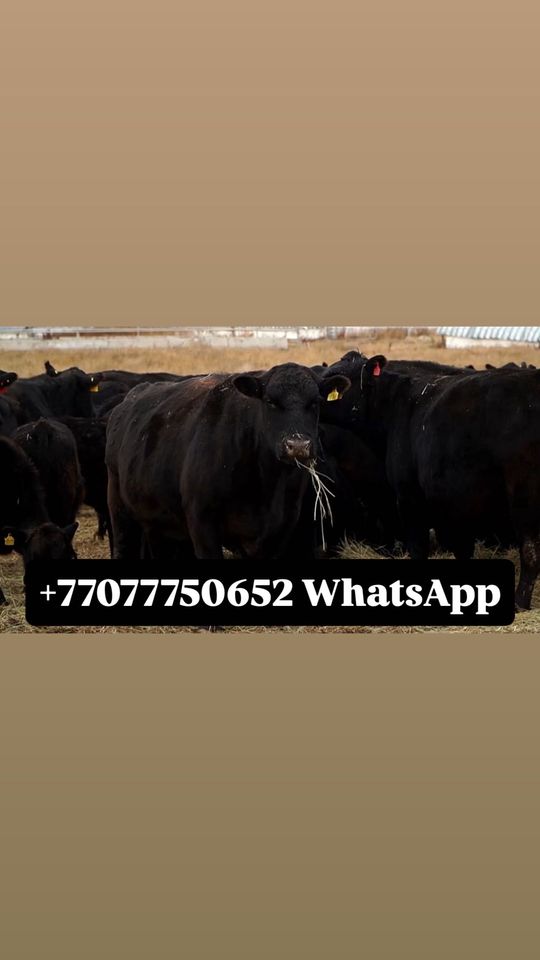 7 100 000 сум