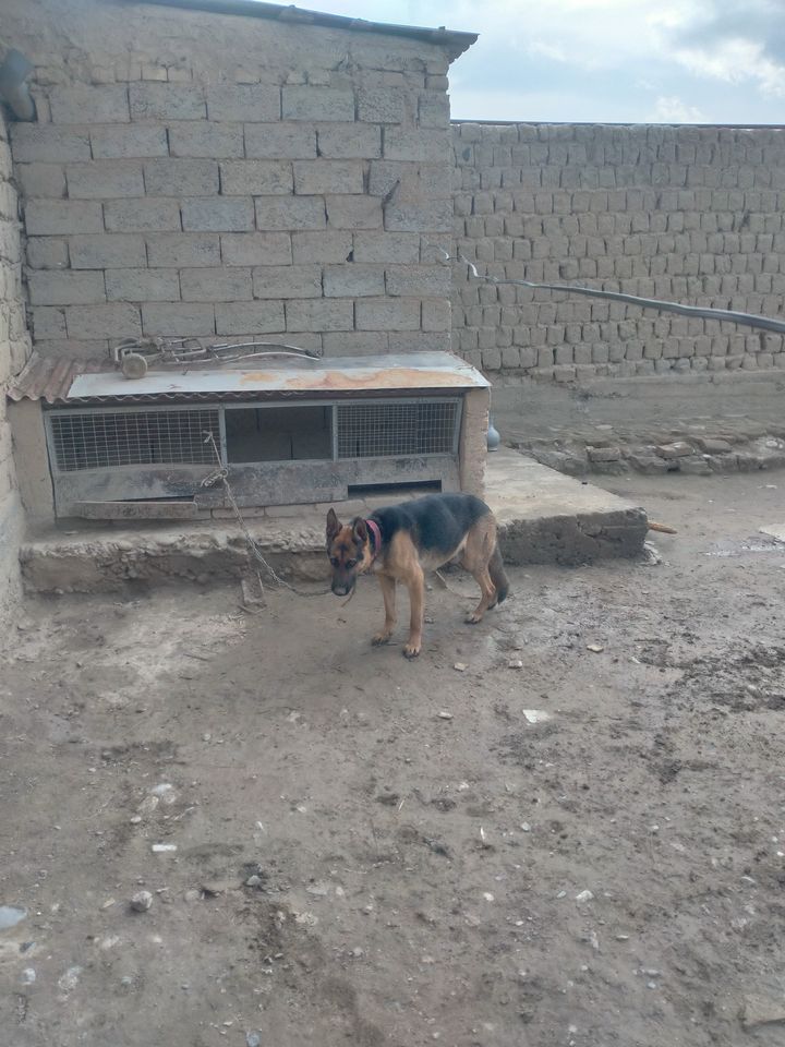 1 000 000 UZS