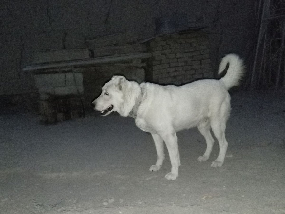 900 000 сум