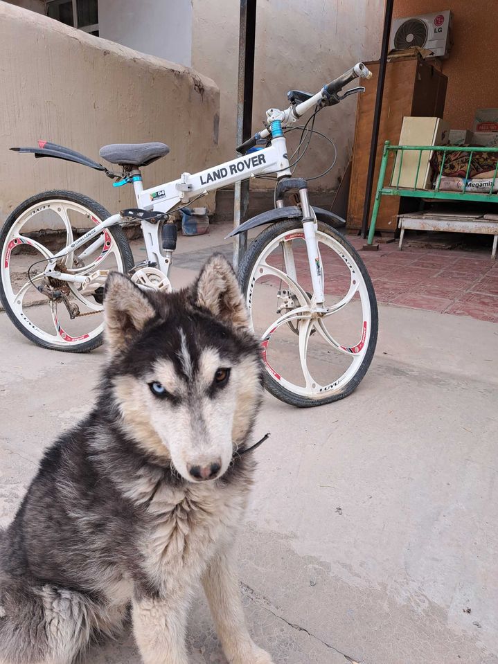 120 USD