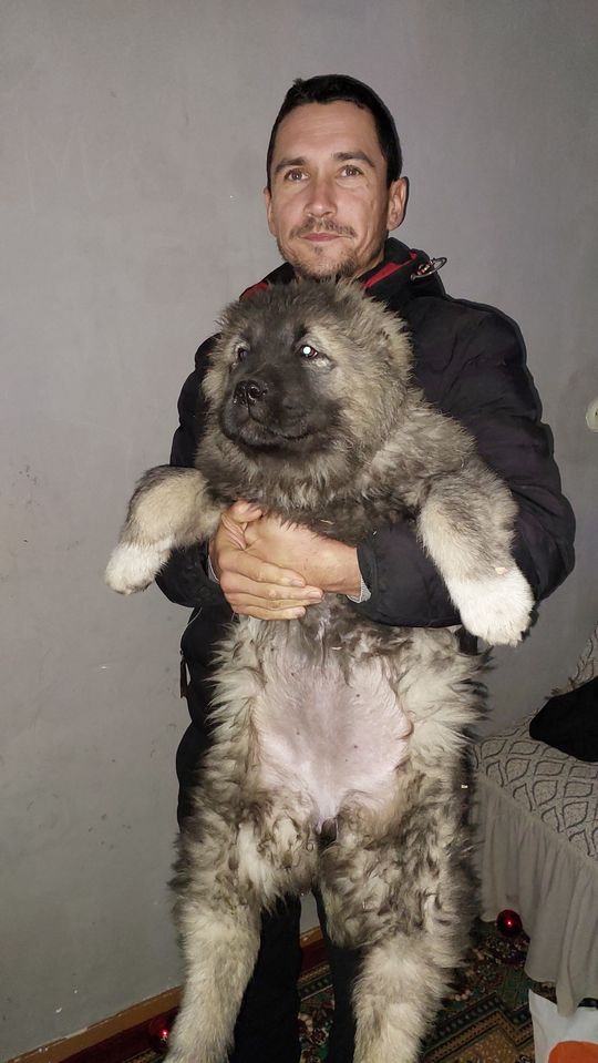 500 USD