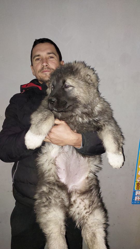 500 USD