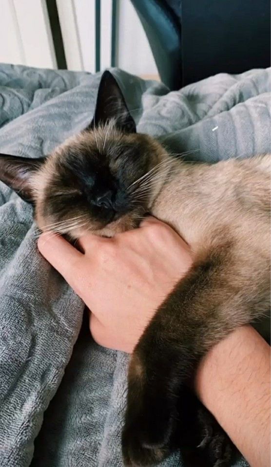 600 000 сум