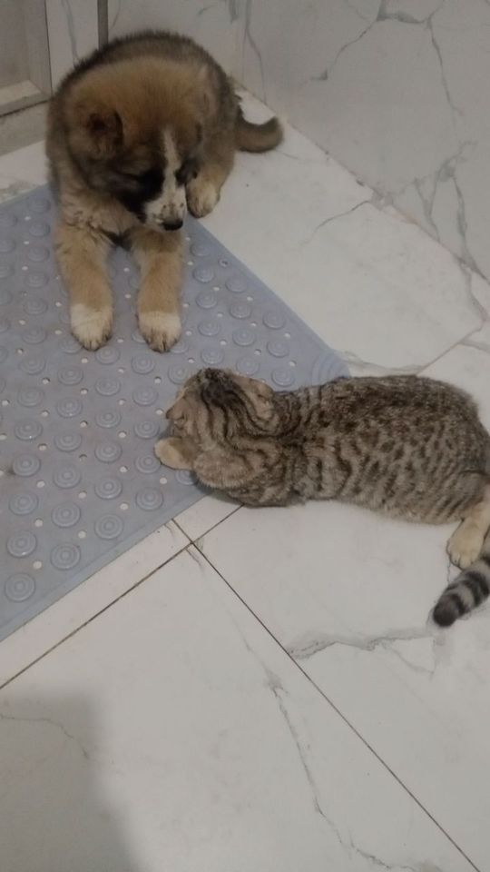 1 100 000 сум