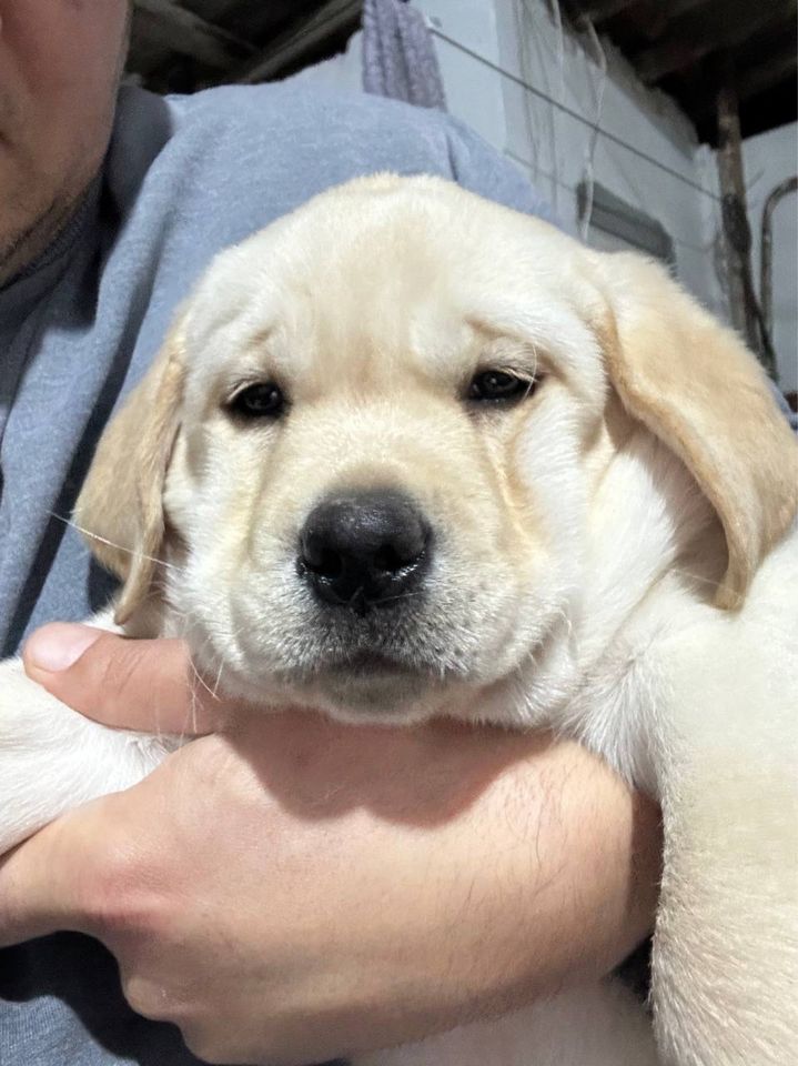 350 USD