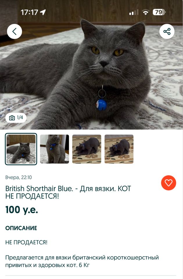 85 USD