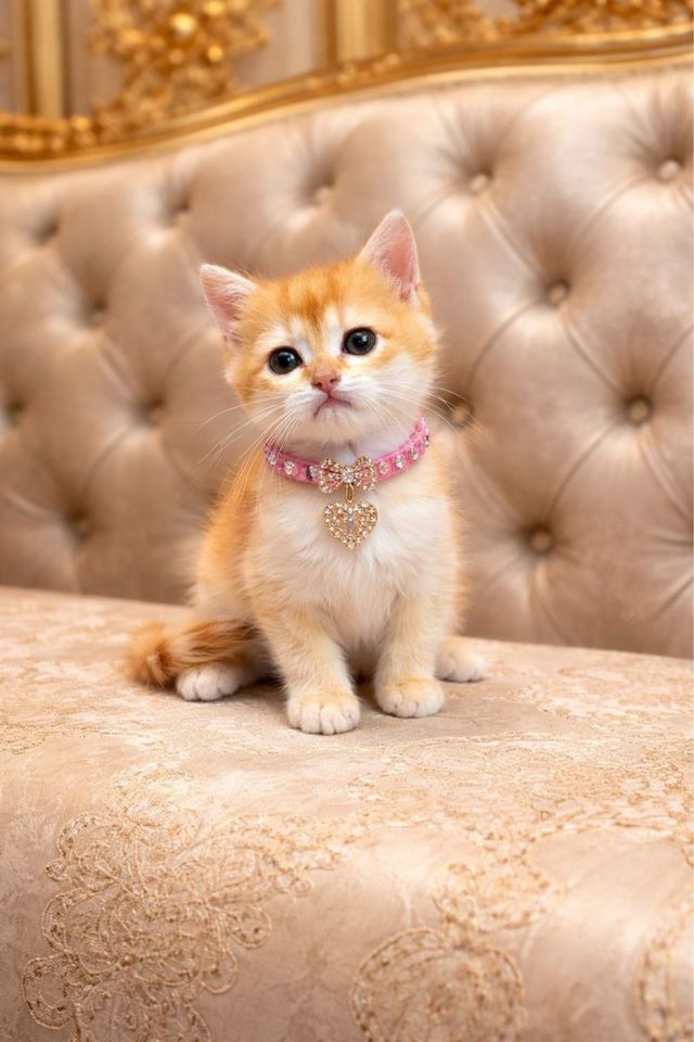 1 500 000 сум