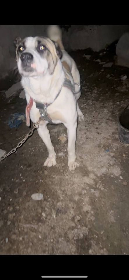 50 USD