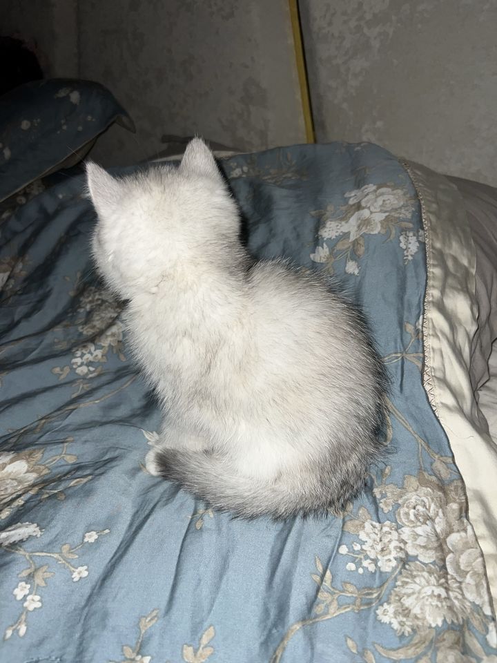 150 USD