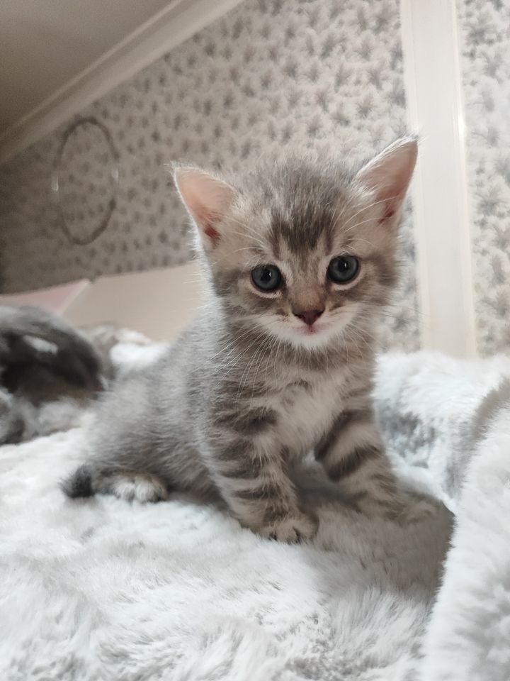 1 000 000 сум