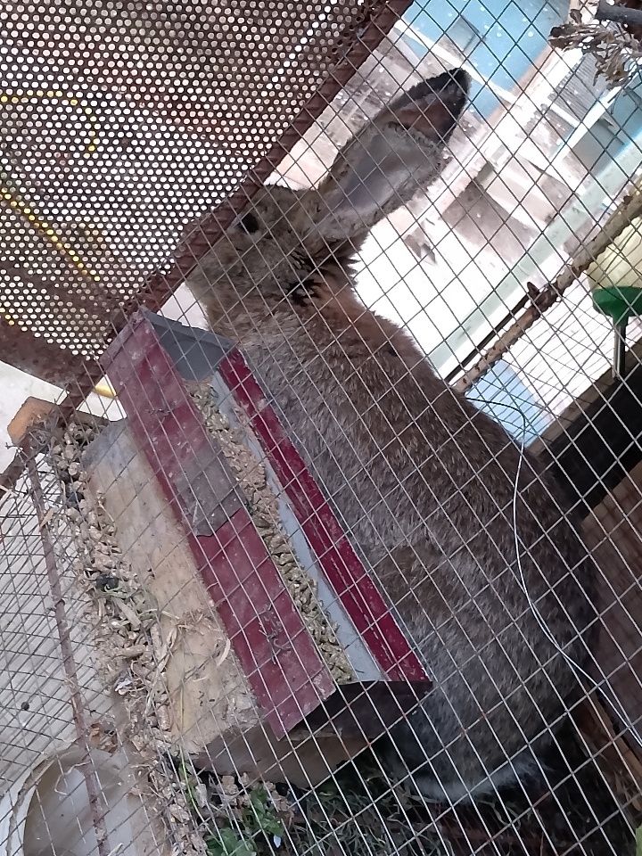 300 000 сум