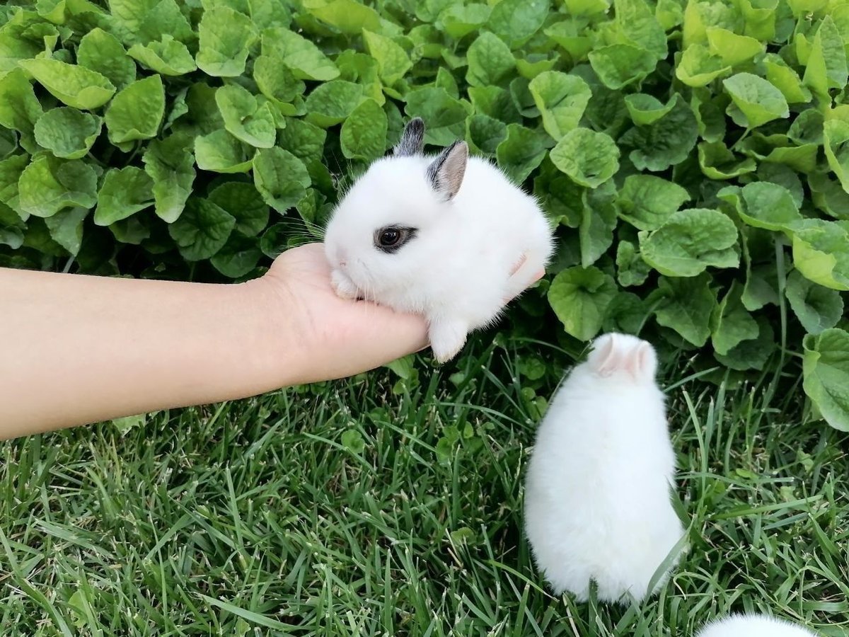 350 000 сум