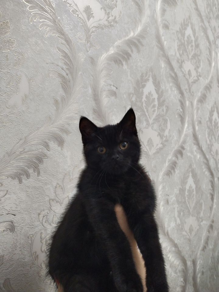 500 000 сум