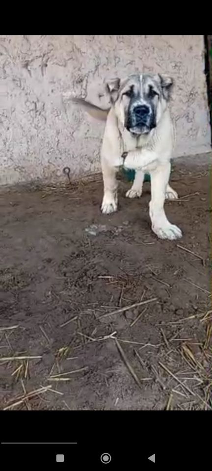 800 USD