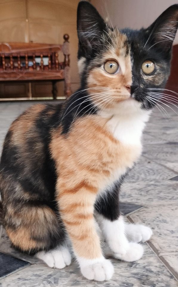 2 000 000 сум