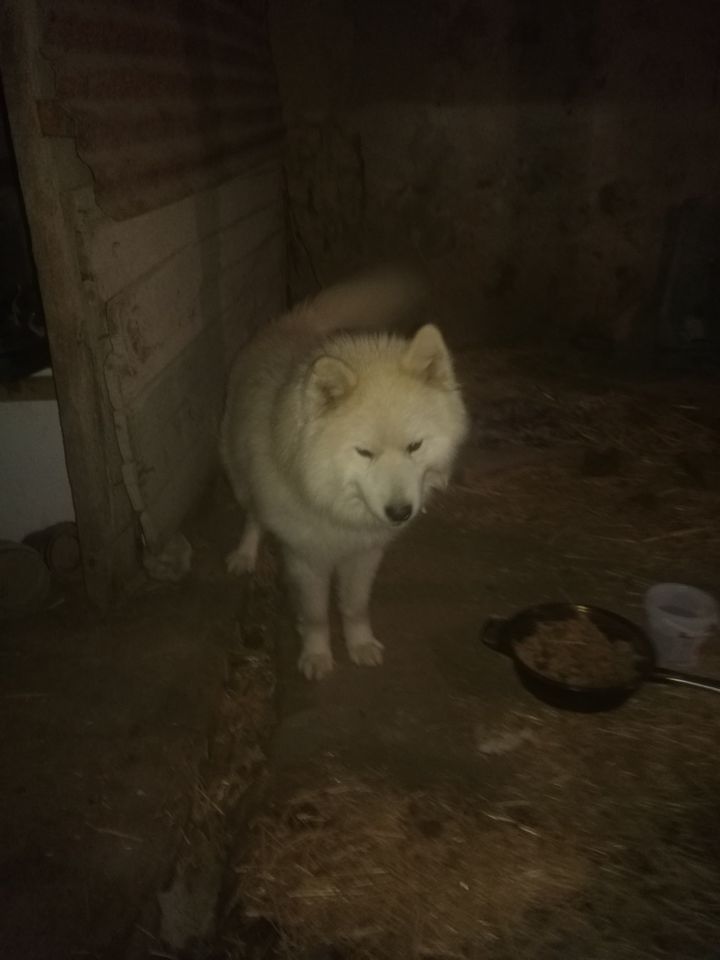 150 USD