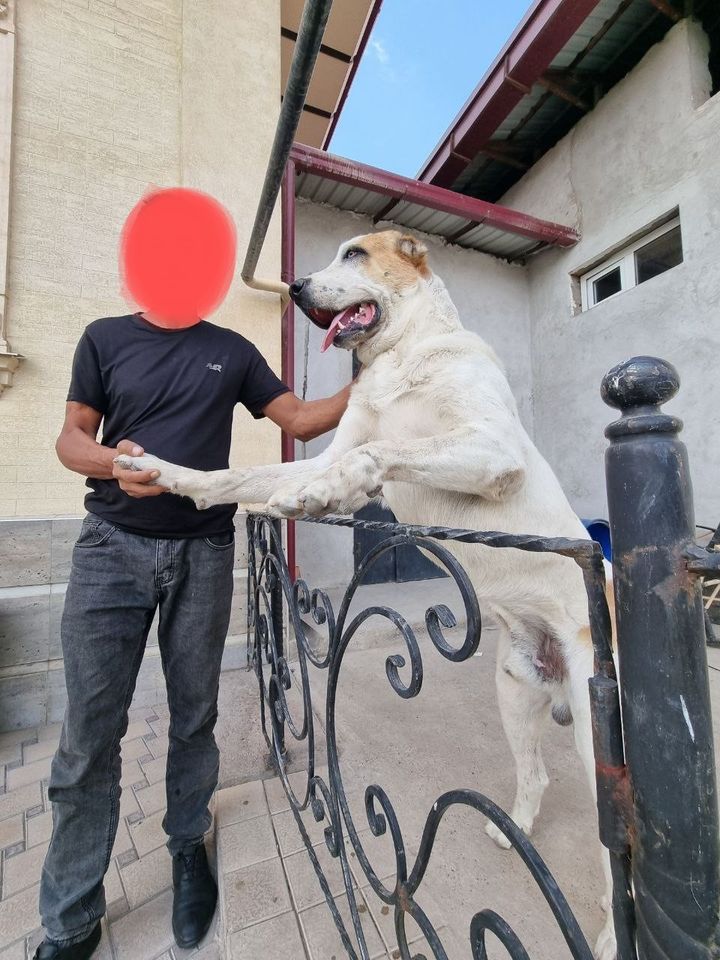 200 USD