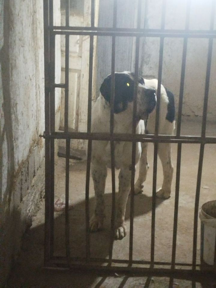 400 USD