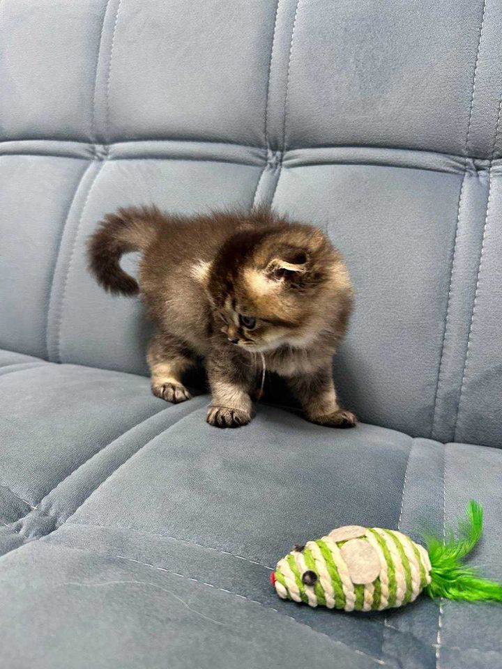 1 500 000 сум