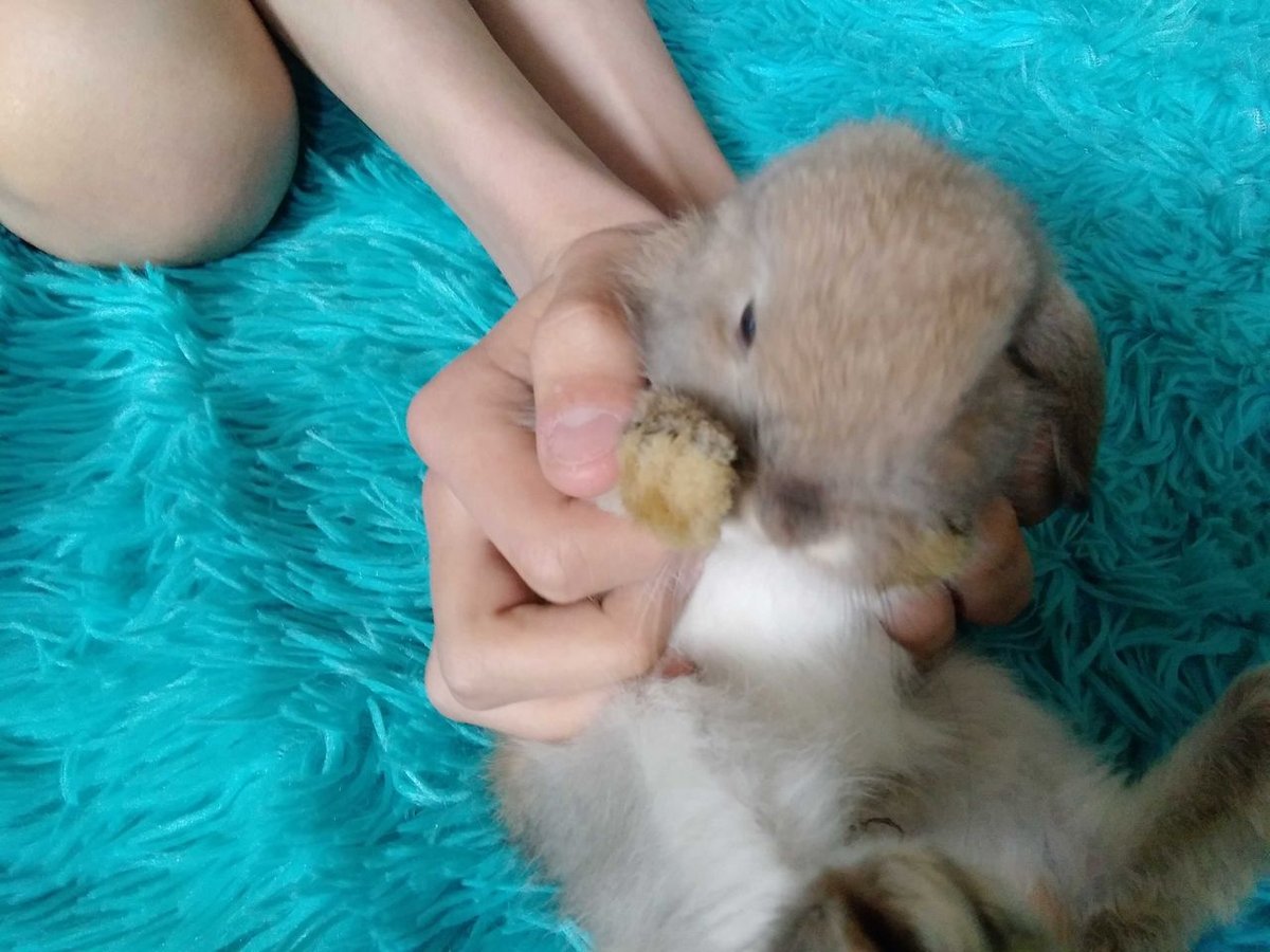 600 000 сум