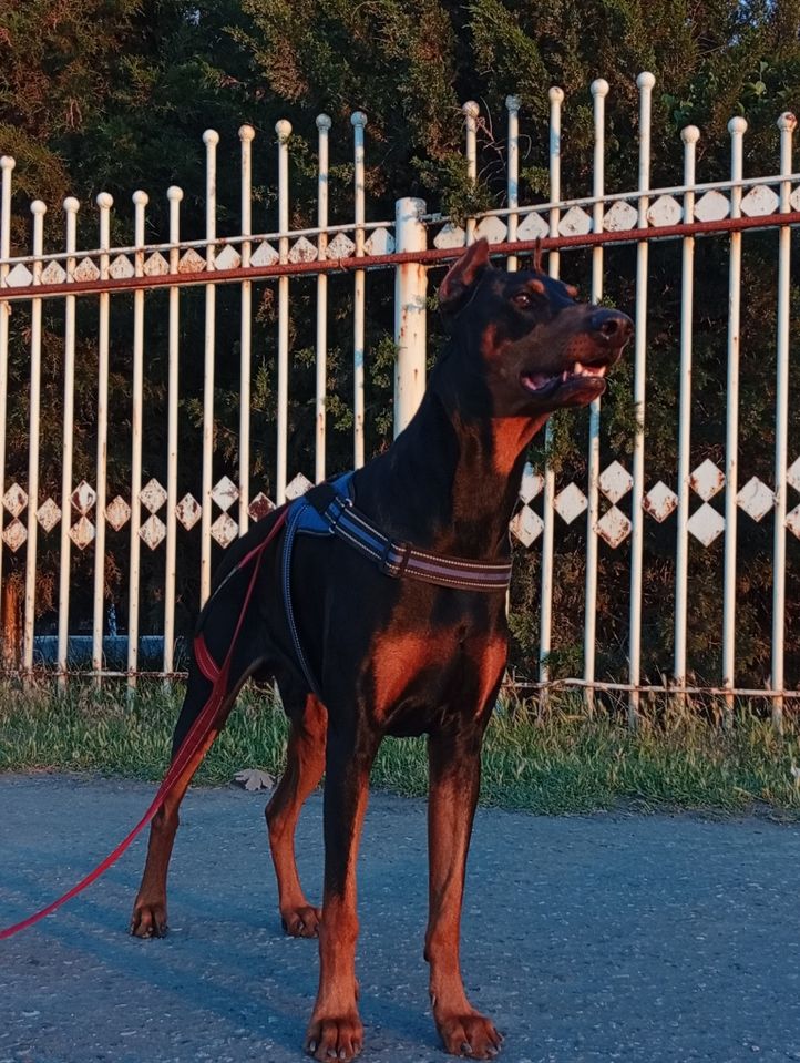 250 USD