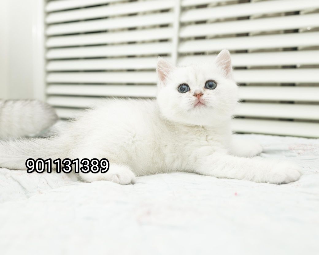 260 USD