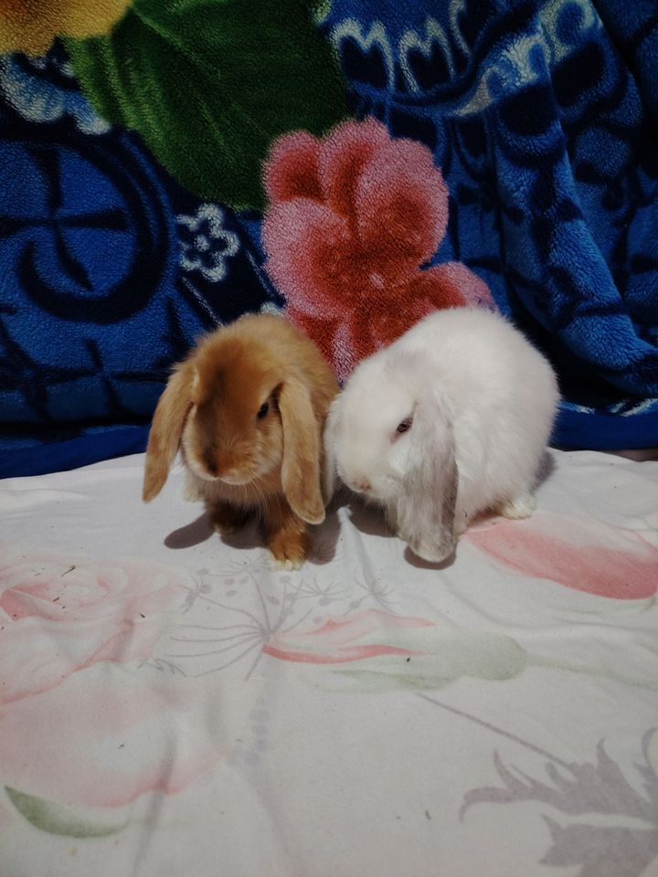 200 000 сум