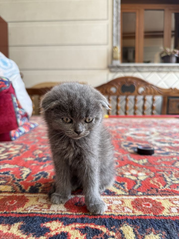 750 000 сум