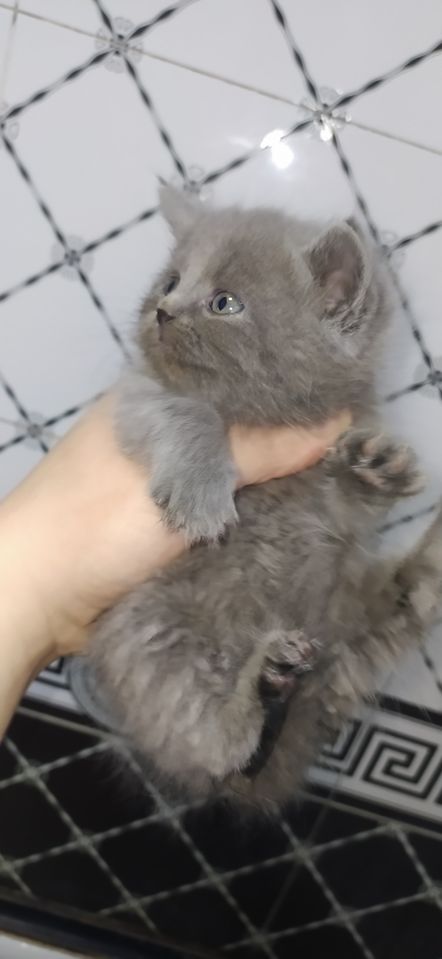1 300 000 UZS
