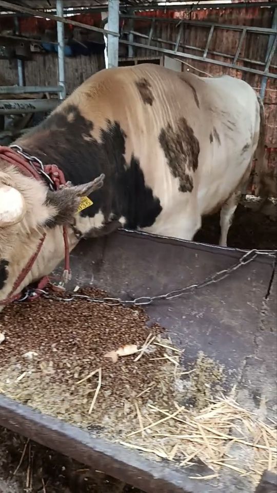 35 000 000 сум