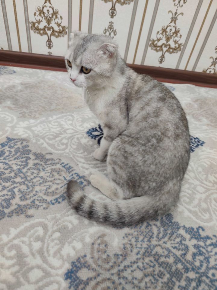 500 000 сум