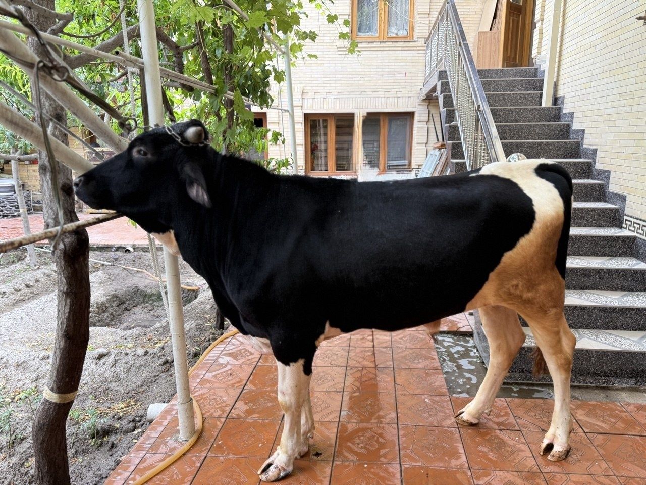 29 000 000 сум