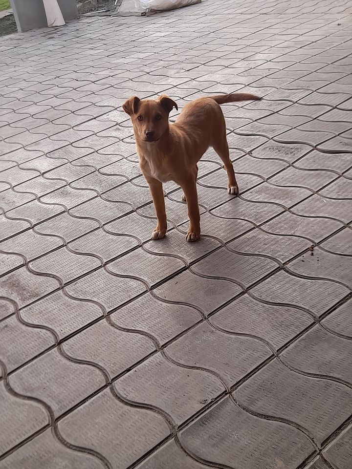 200 000 сум
