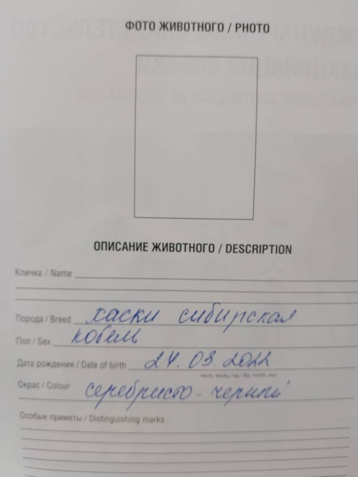 2 400 000 UZS