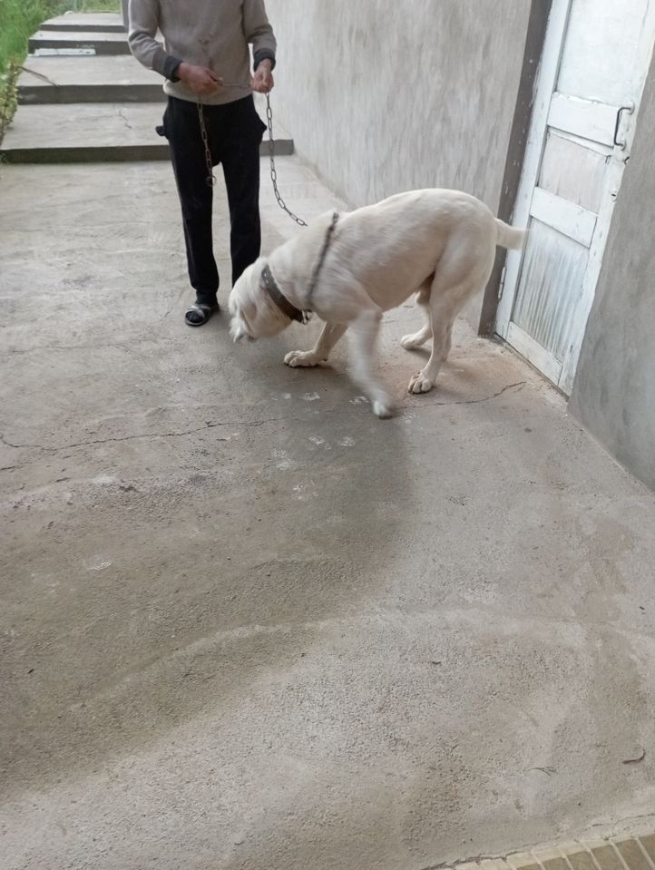 300 USD