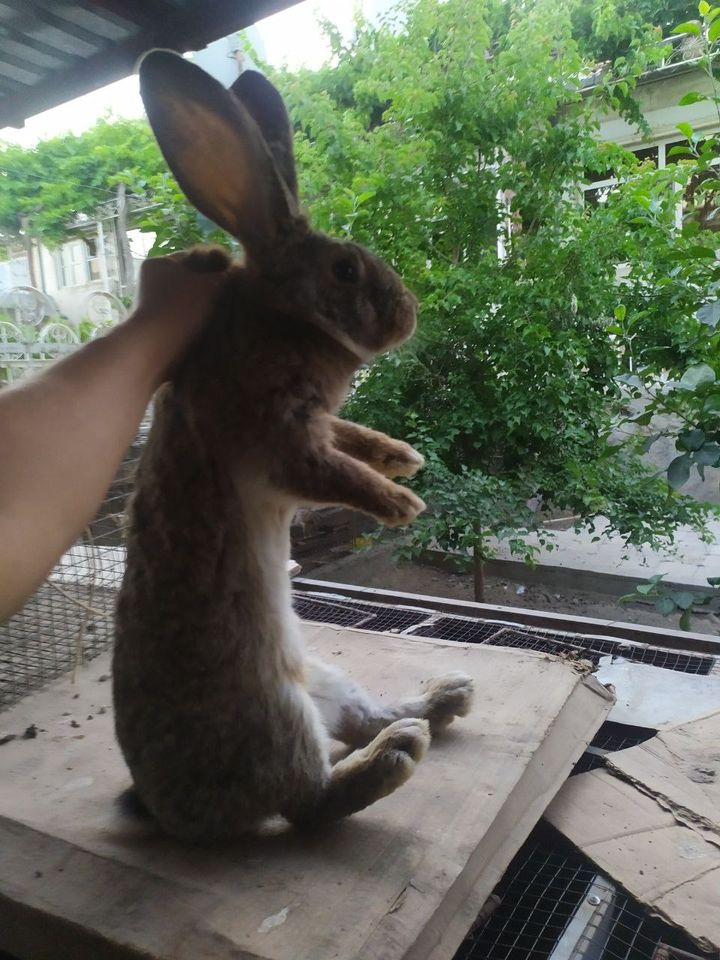 1 000 000 сум