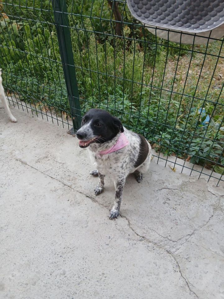 Free