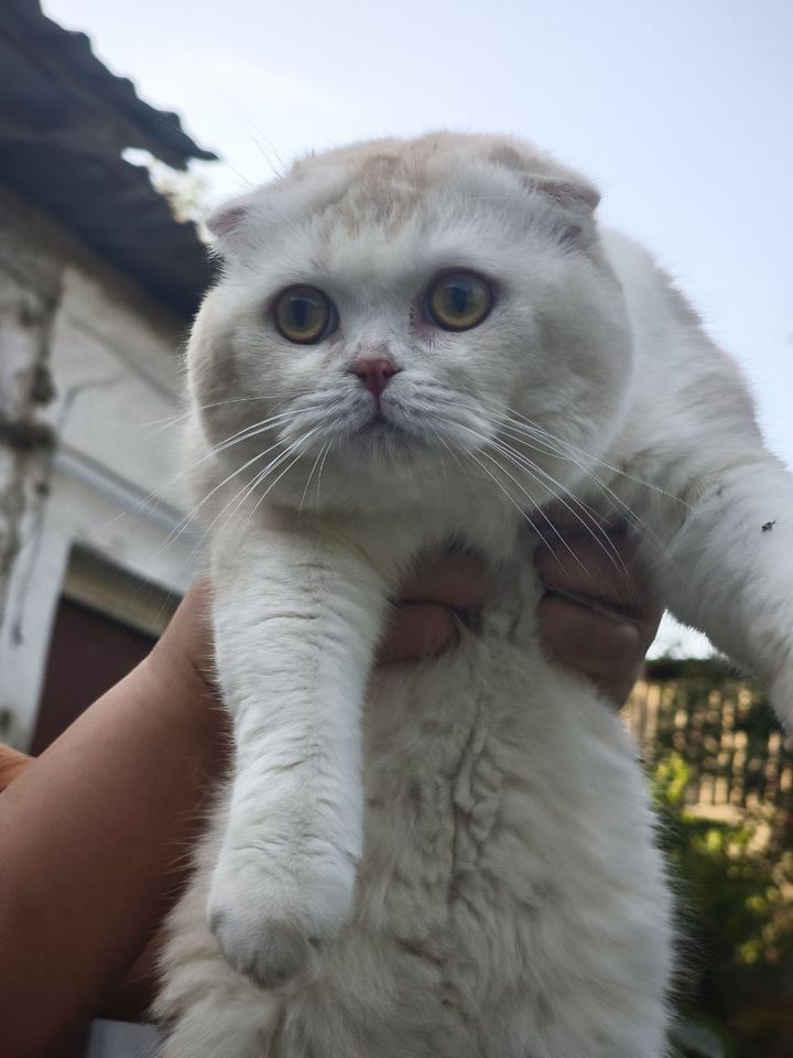 600 000 сум