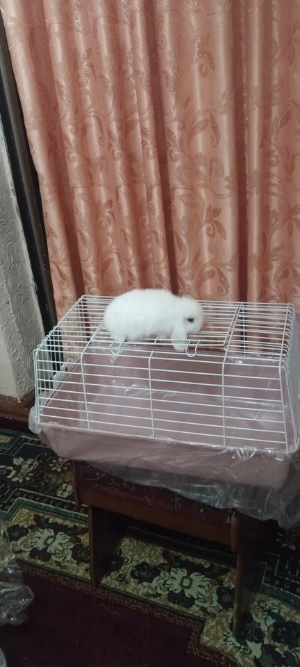 180 000 сум
