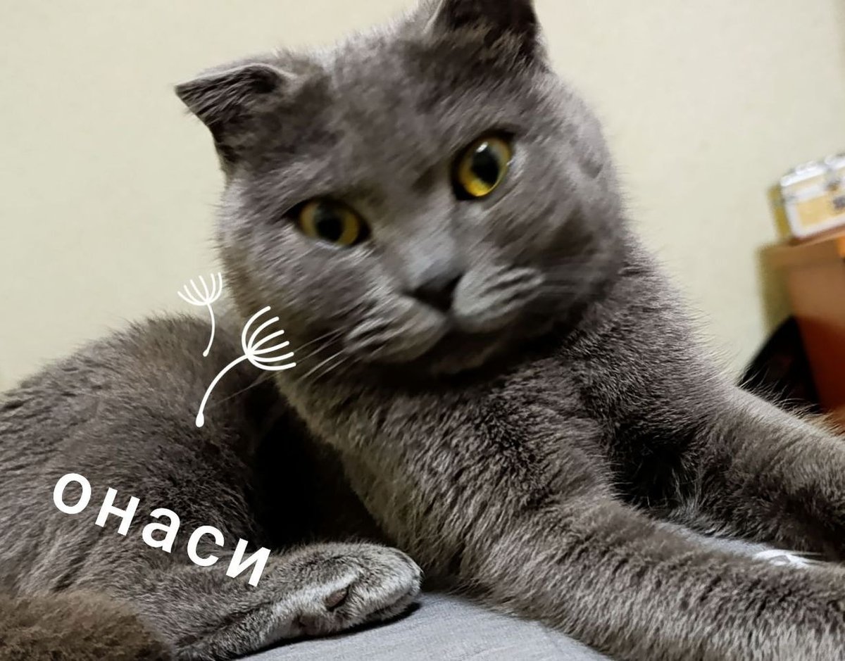 1 000 000 so'm