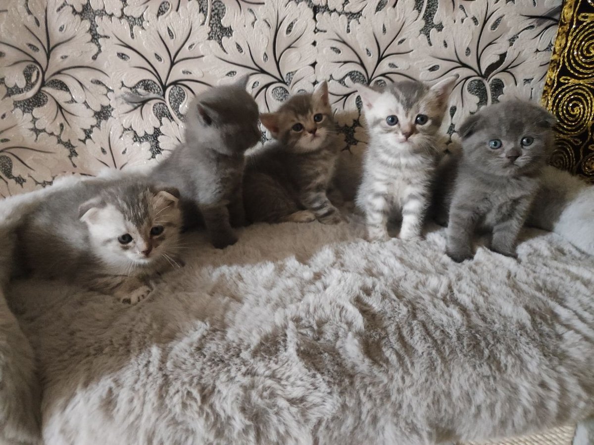 1 000 000 сум