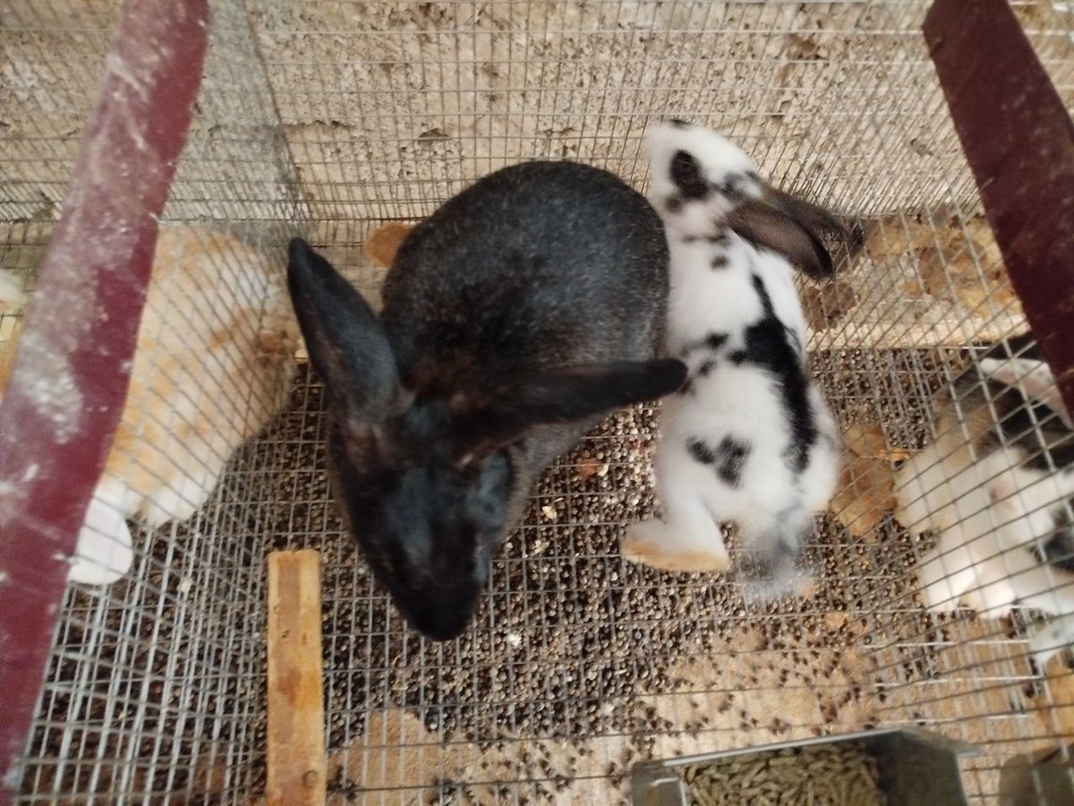 200 000 сум